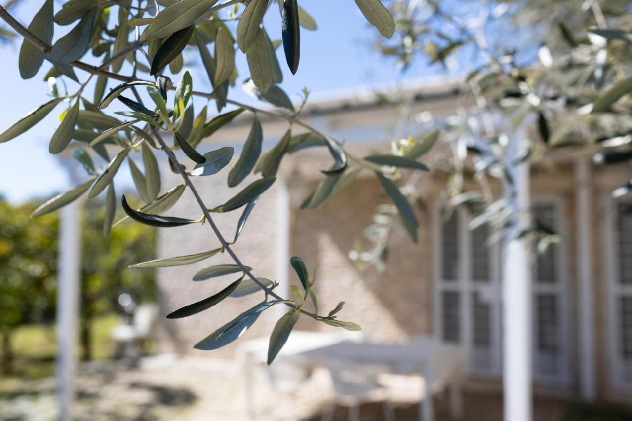 B&B Samarelle - Exclusive Villa With Garden And Panoramic Terrace - 몰페타 외부 사진